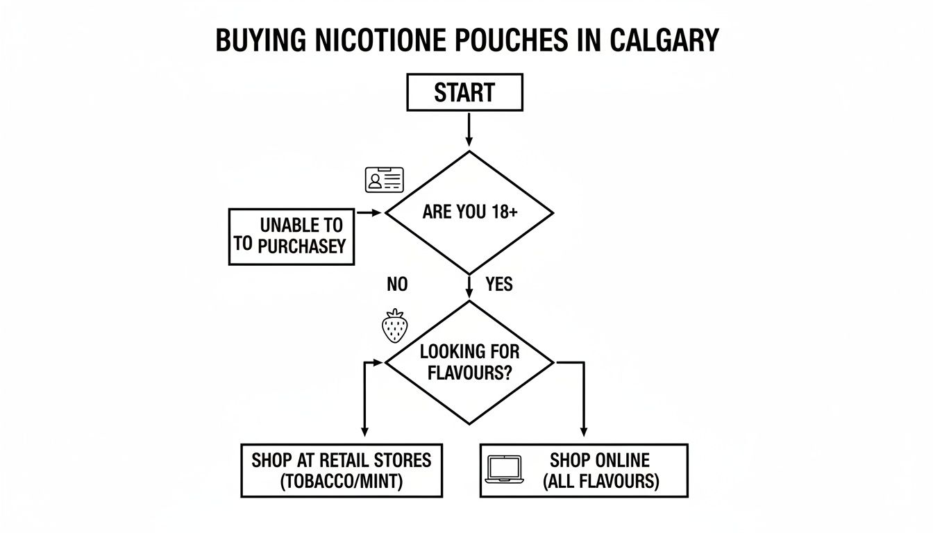 A flowchart illustrating the steps to purchase nicotine pouches in Calgary, addressing age and flavor choices.