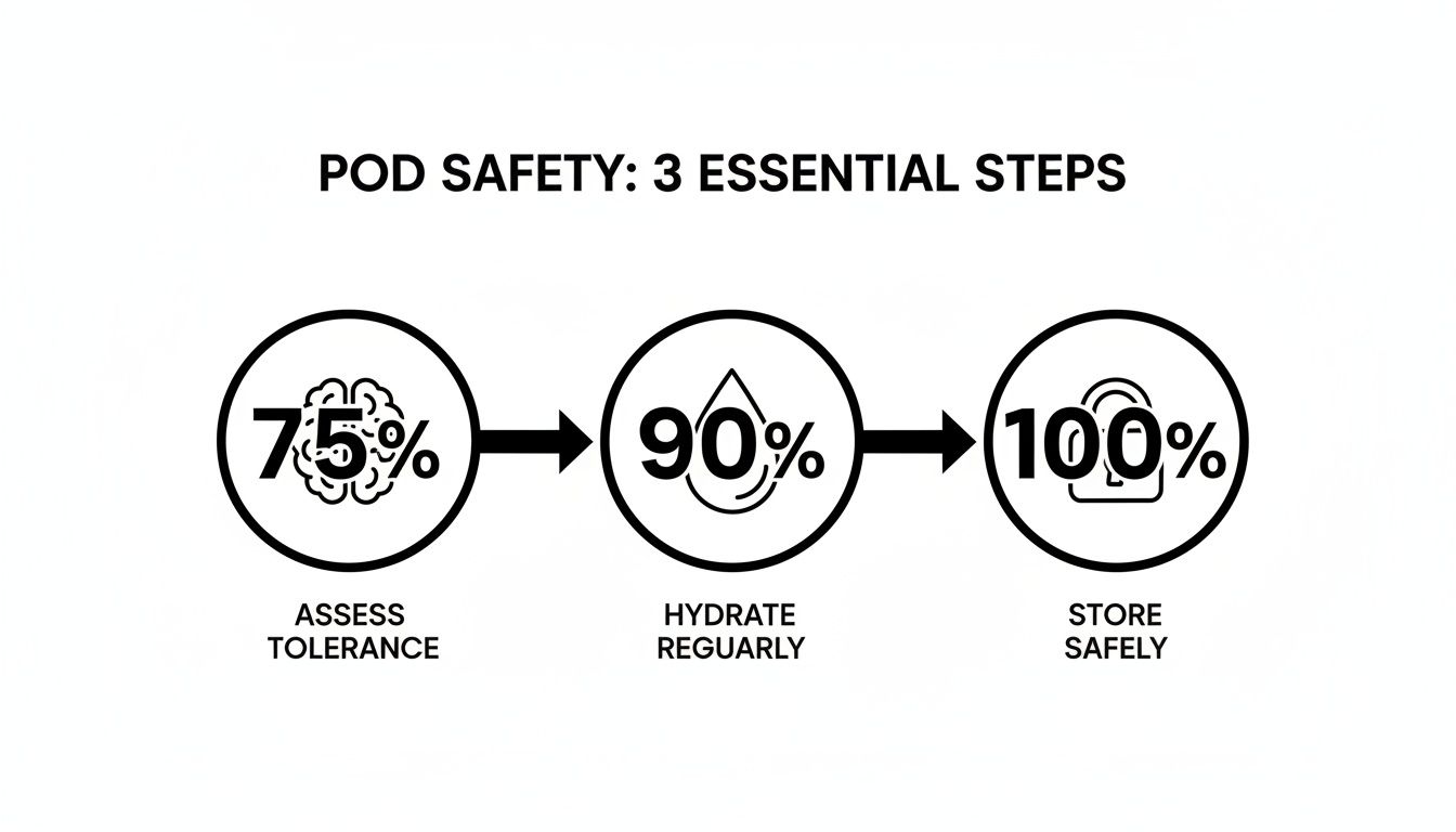 Infographic showing three essential steps for pod safety: assess tolerance, hydrate regularly, and store safely.