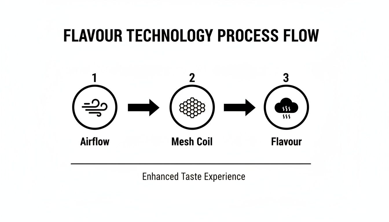 Diagram showing flavour technology process flow: Airflow, Mesh Coil, Flavour, leading to an enhanced taste experience.