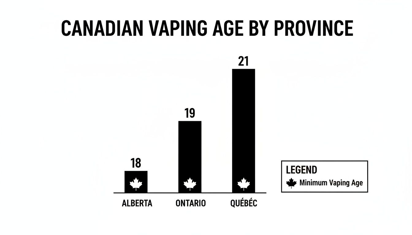 Bar chart showing minimum vaping age by Canadian province: Alberta 18, Ontario 19, Quebec 21.