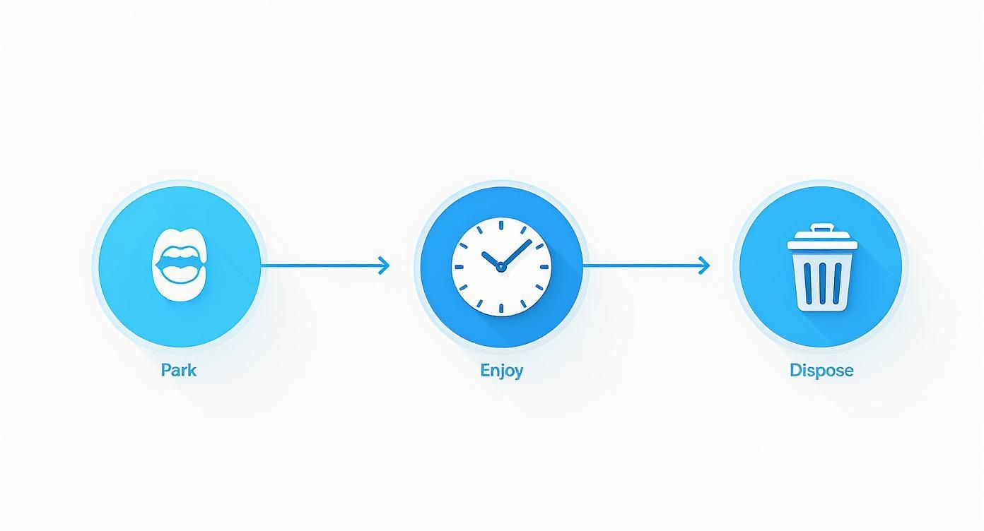 A three-step process diagram showing Park (lips icon), Enjoy (clock icon), and Dispose (trash can icon) connected by arrows.