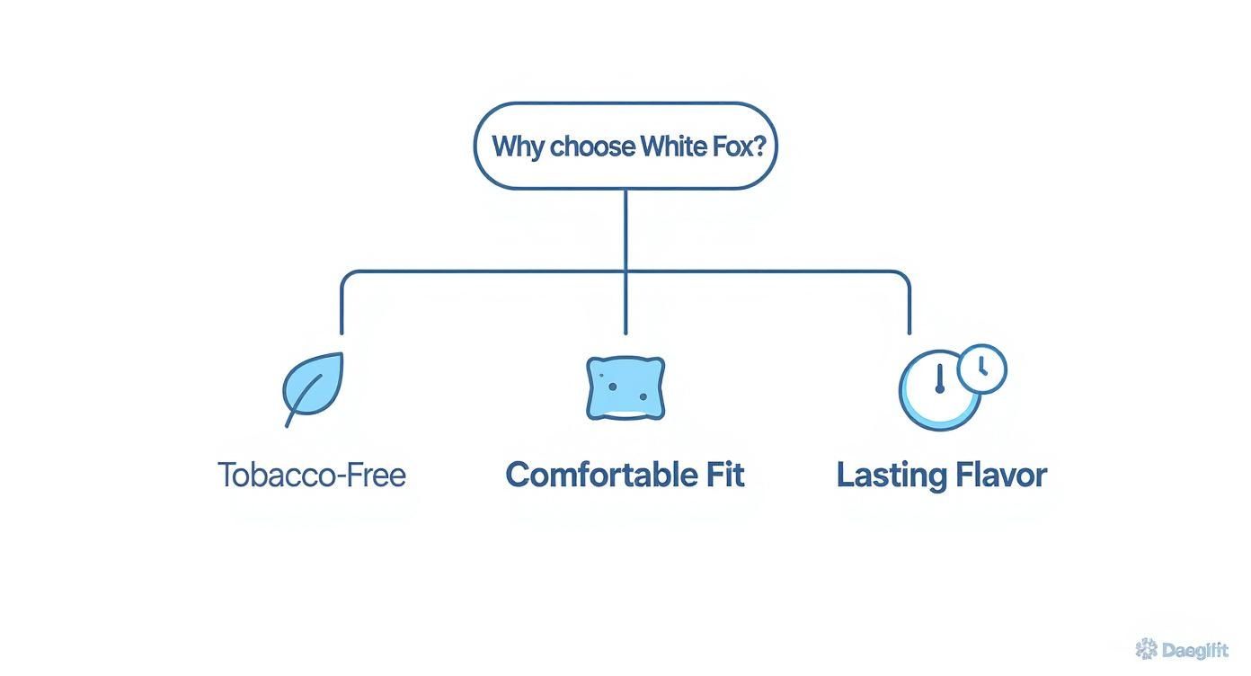 A diagram outlining the reasons to choose White Fox, highlighting tobacco-free, comfortable fit, and lasting flavor.