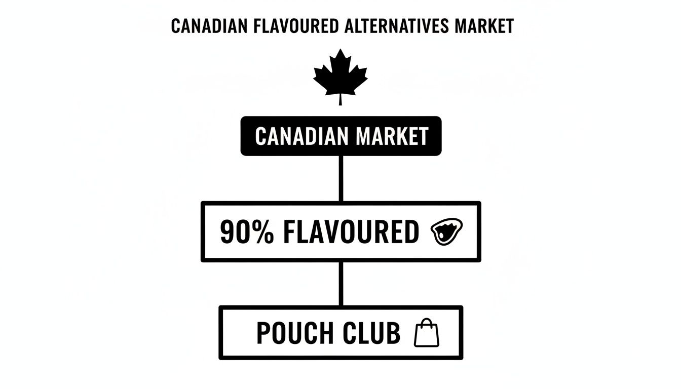 A flowchart detailing the Canadian flavoured alternatives market, showing 90% are flavoured and part of a pouch club.