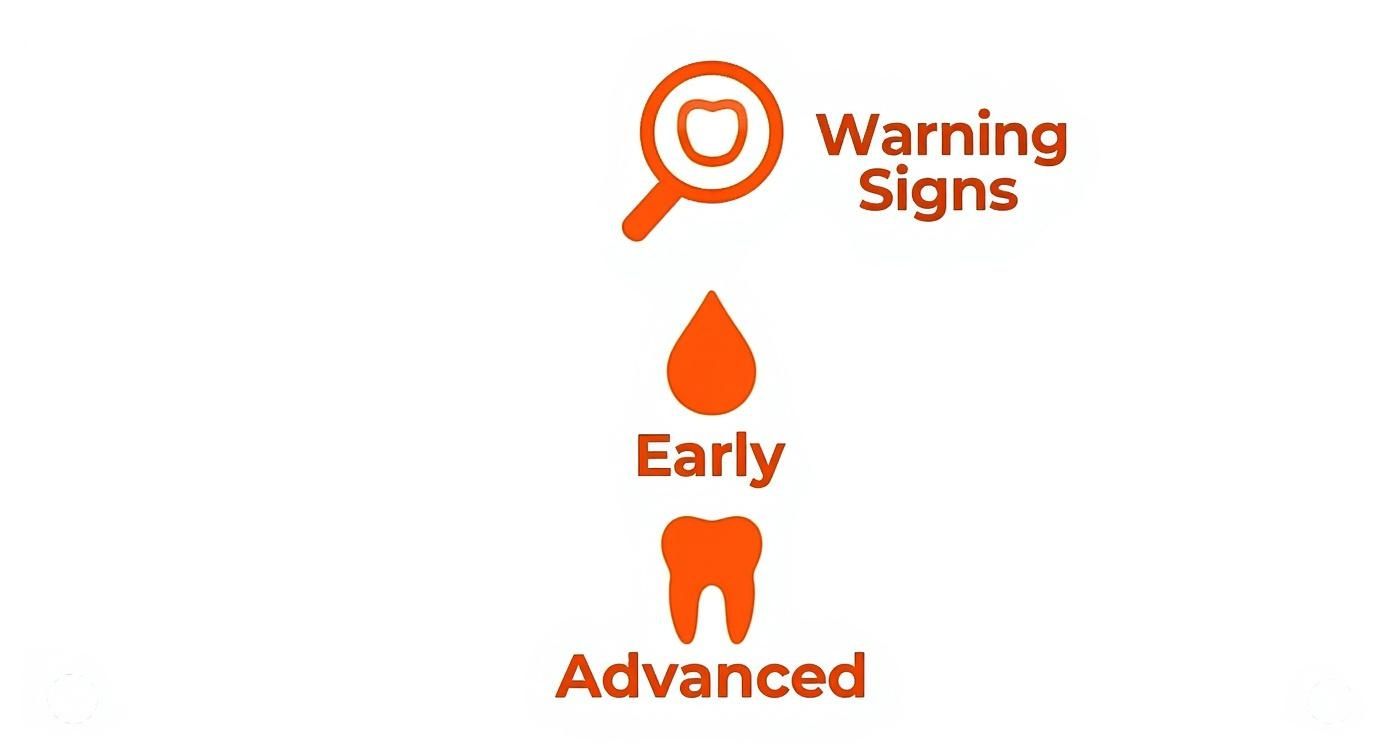 Infographic about what are signs of gum disease