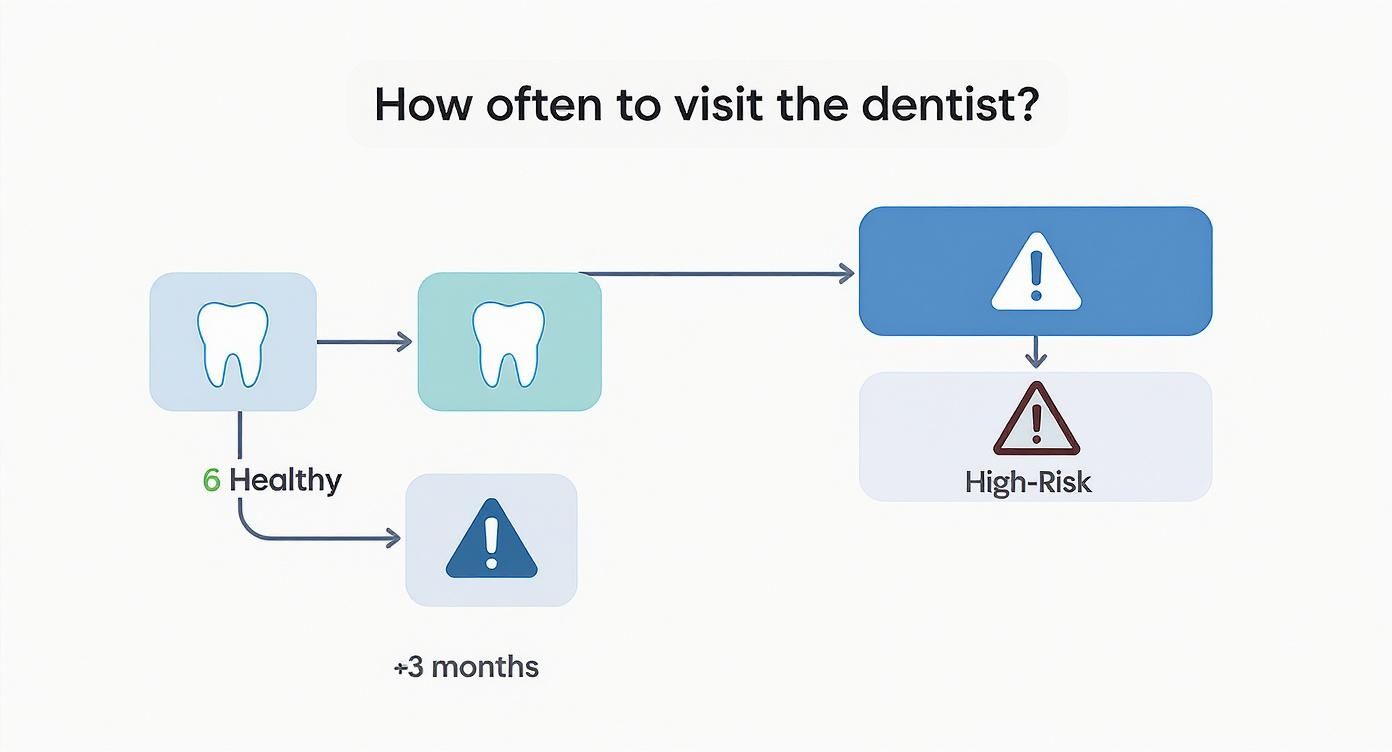 Dental visit frequency flowchart showing healthy teeth need checkups every six months, high-risk every three months