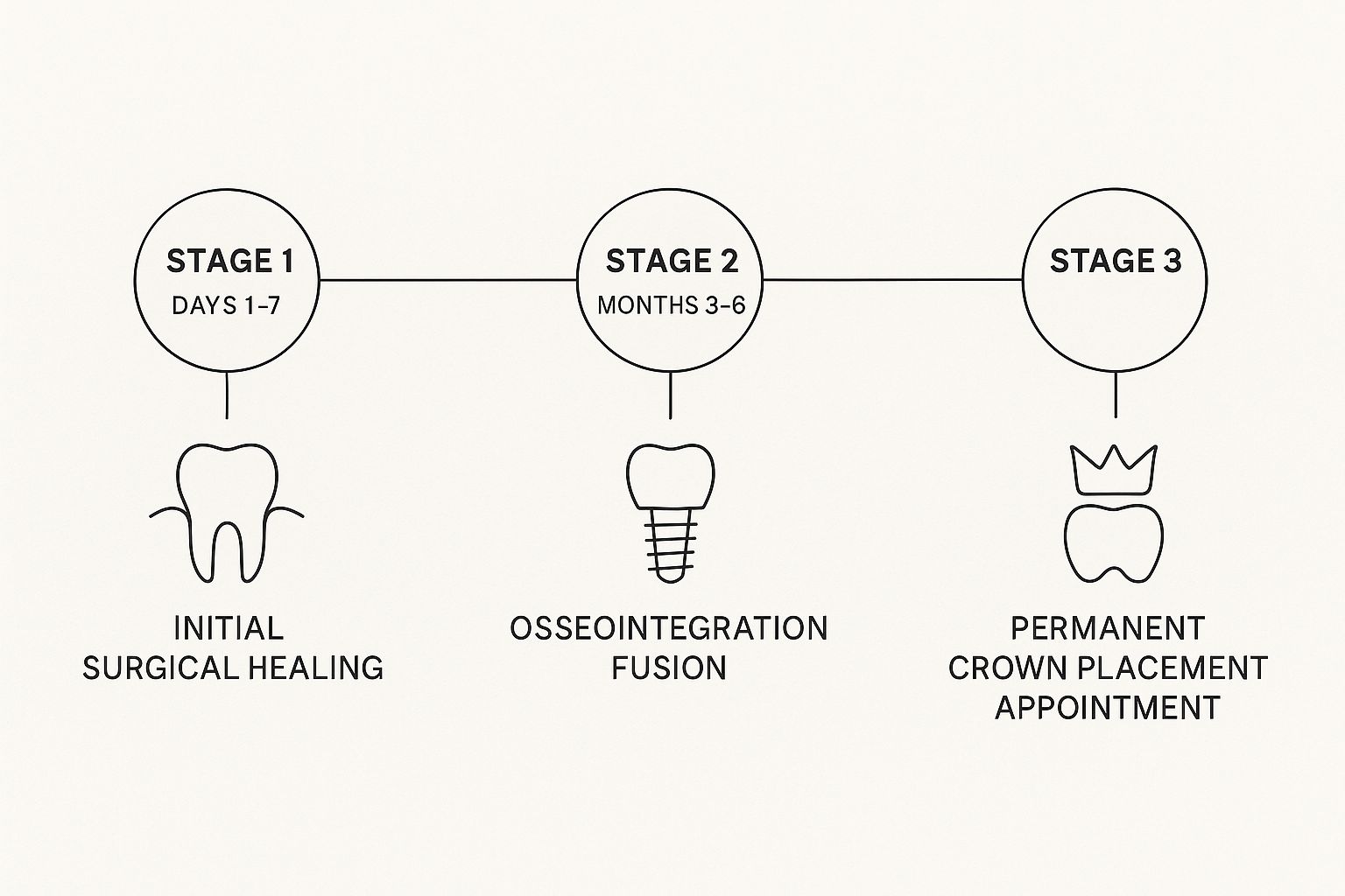Infographic about dental implant recovery time