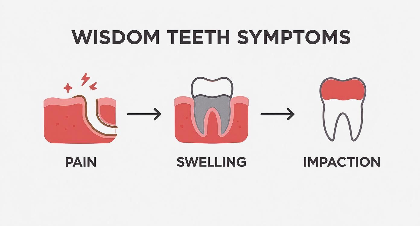 Infographic about wisdom teeth removal in san diego