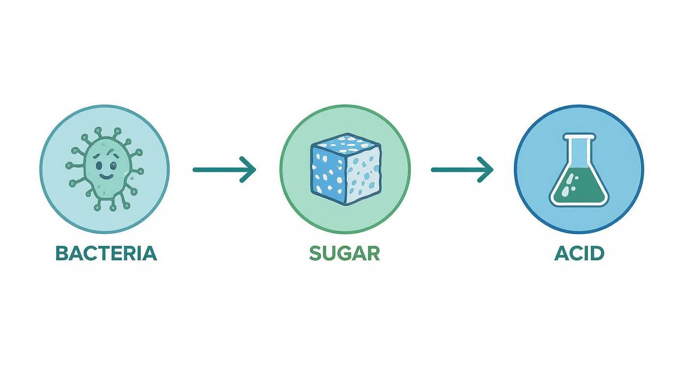 Infographic about how to prevent tooth decay