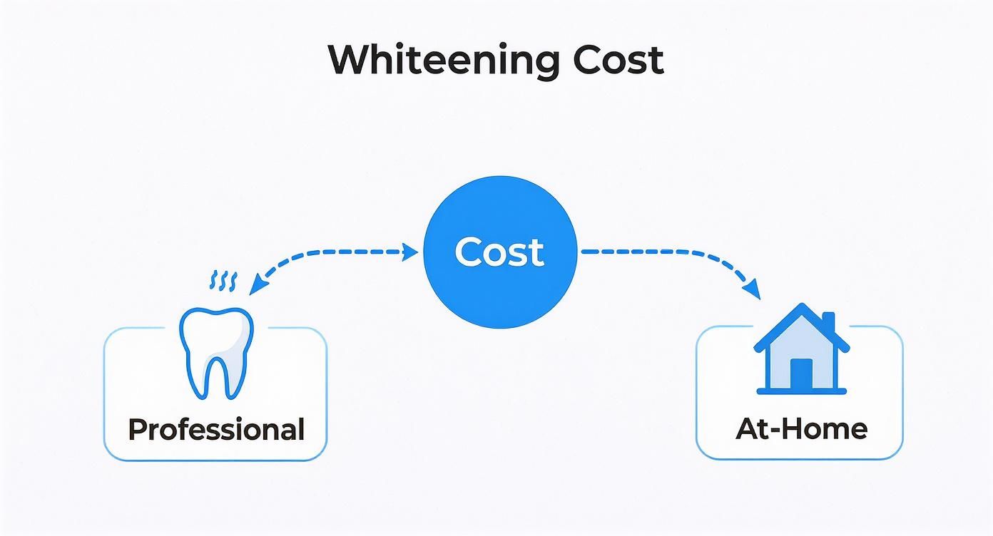 Infographic about how much does teeth whitening cost