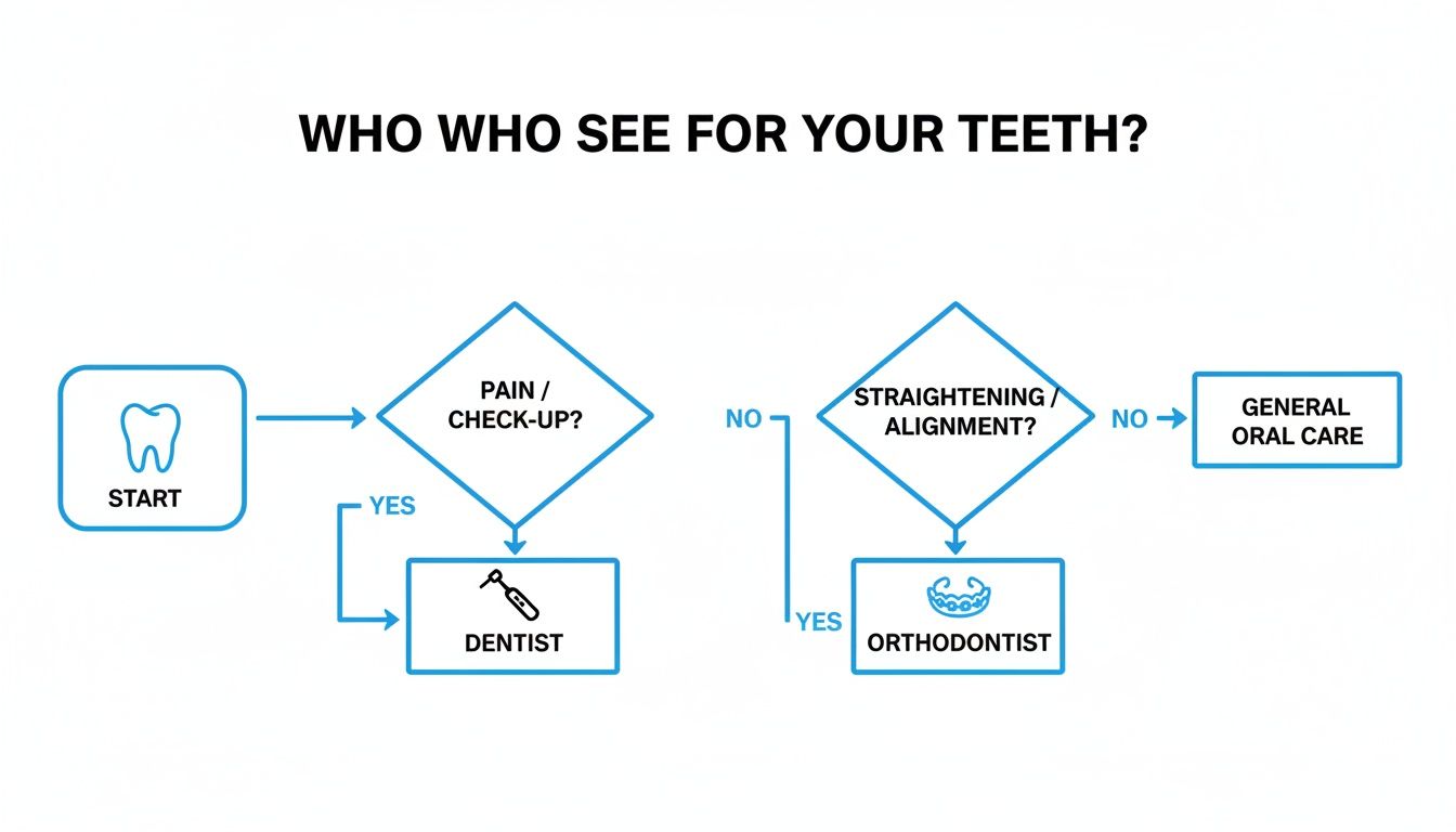 A flowchart explaining whether to see a dentist, orthodontist, or for general oral care.