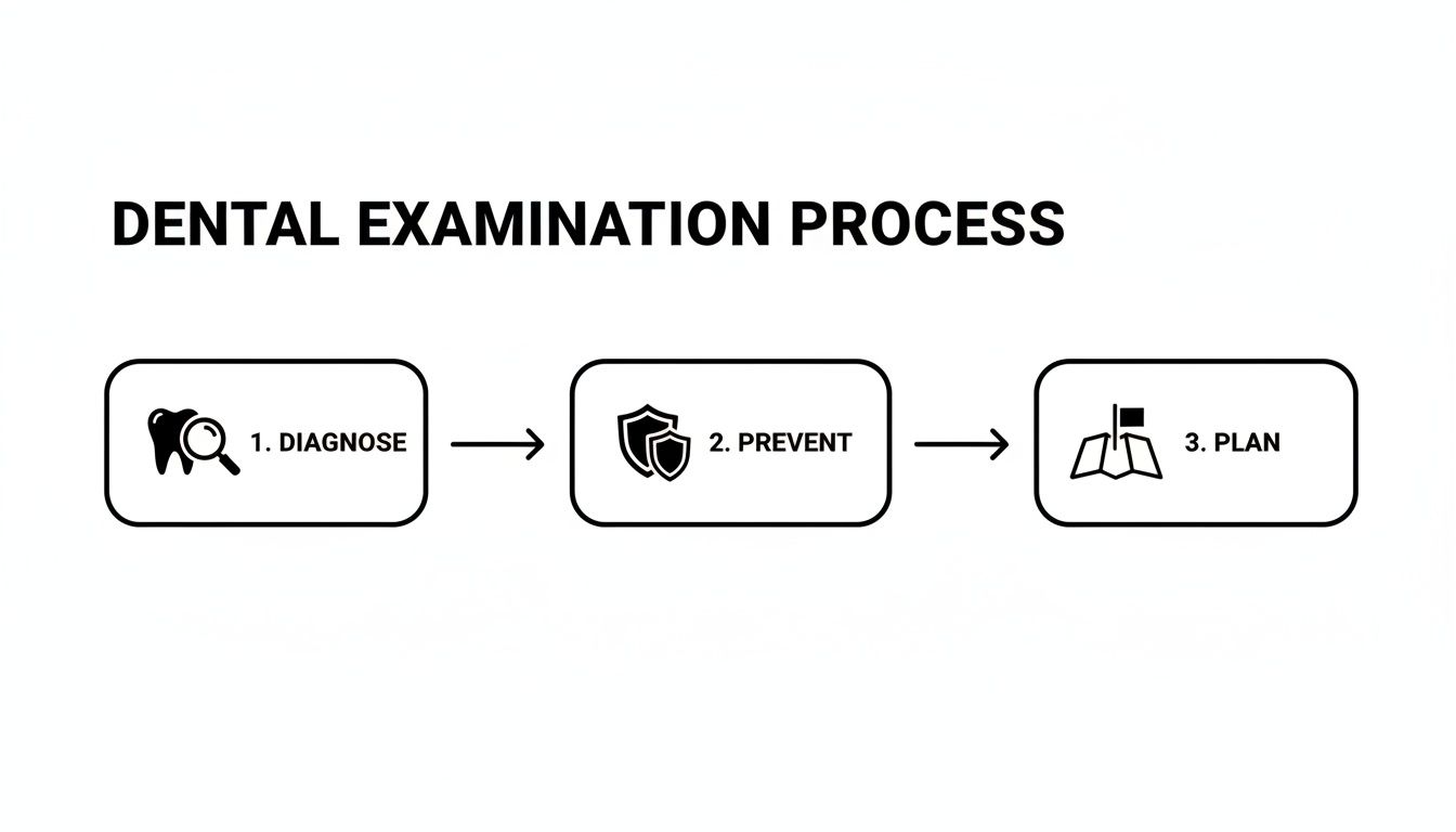 Flowchart illustrating the dental examination process: Diagnose, Prevent, and Plan with icons.