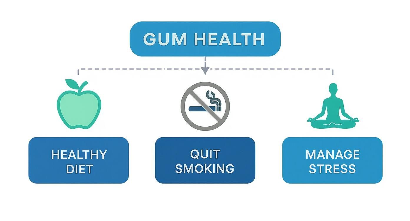 Gum health infographic showing healthy diet, quit smoking, and manage stress as key factors