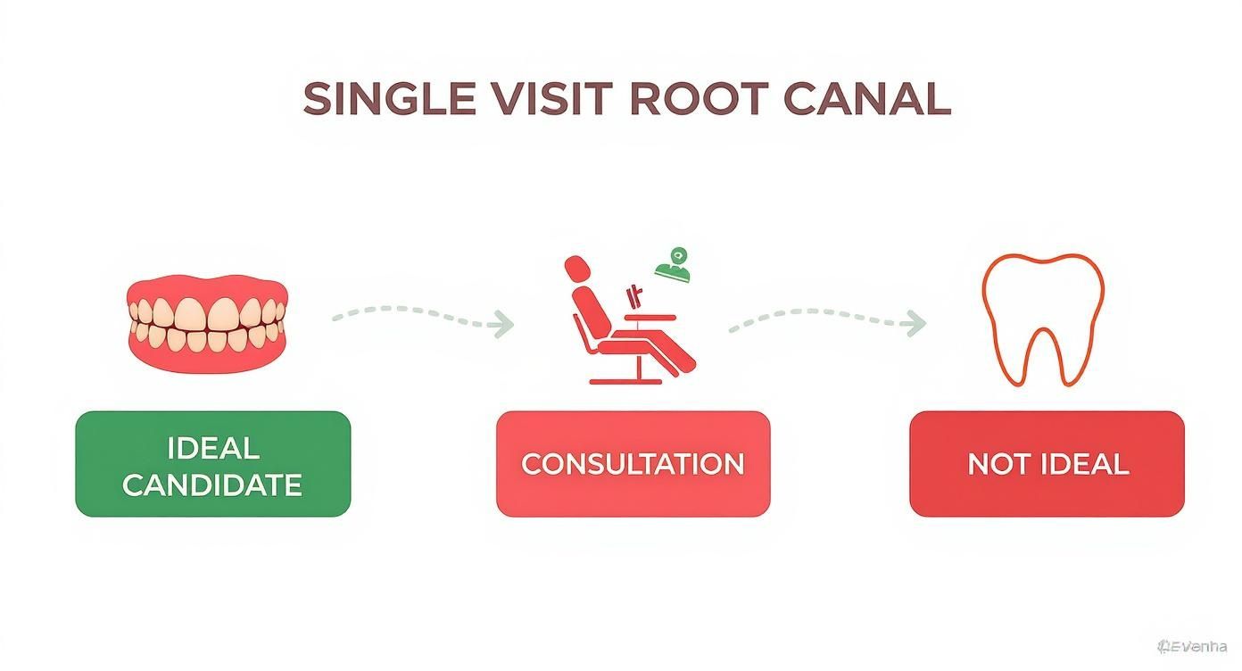 Flowchart illustrating the single visit root canal process, identifying ideal candidates through consultation.