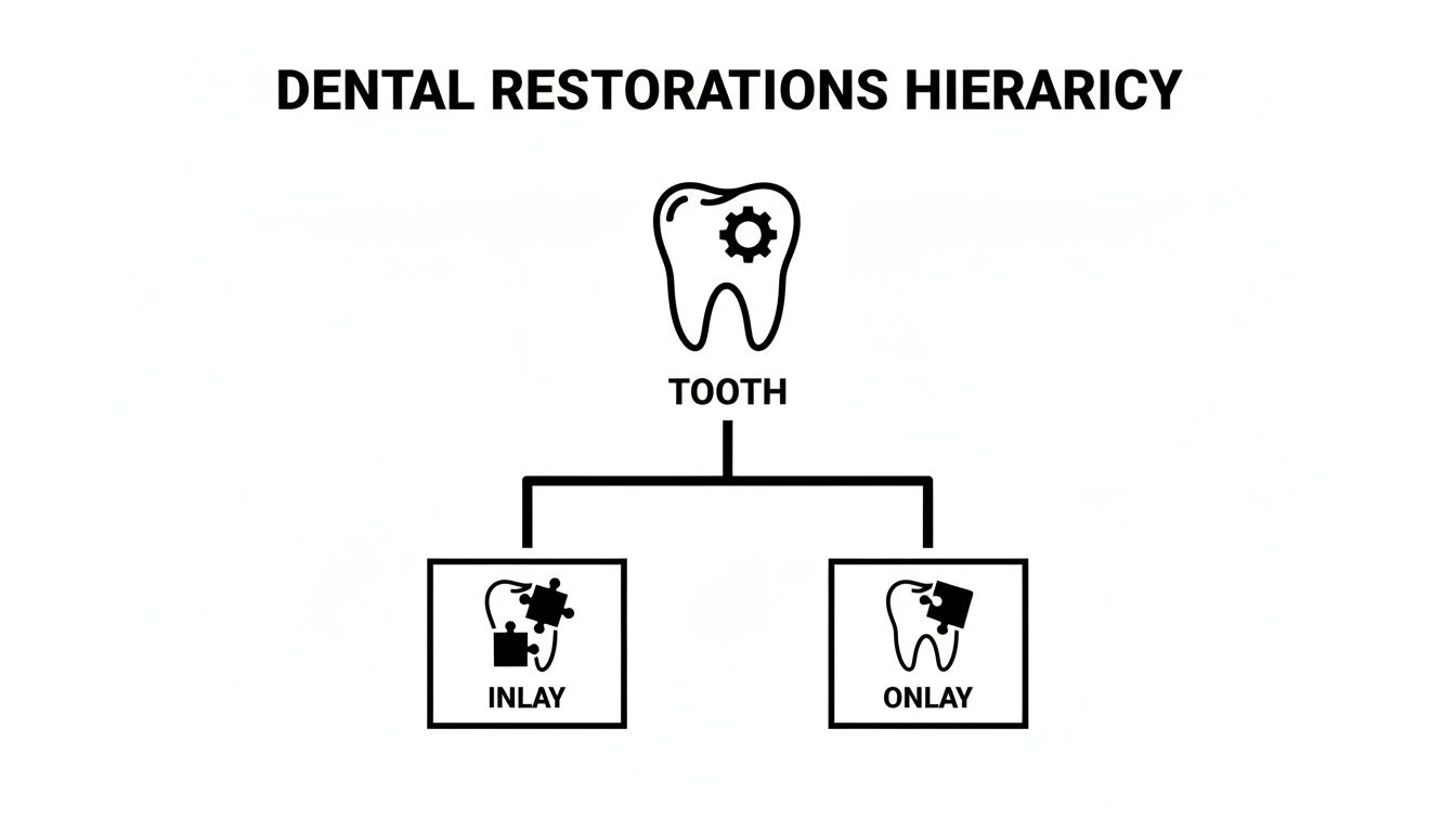 A hierarchy diagram illustrating dental restorations, branching from a tooth to inlays and onlays.