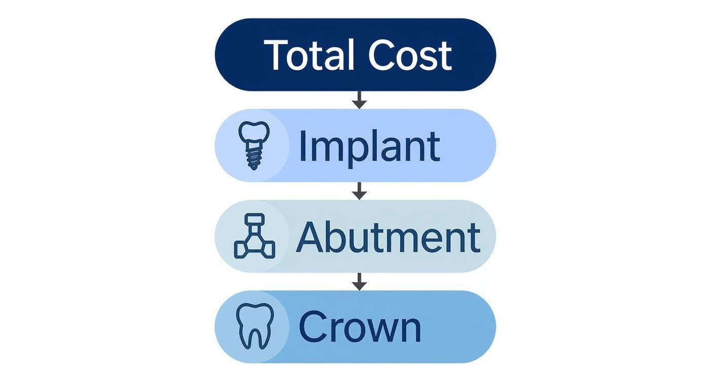 Infographic about dental implants in tijuana cost