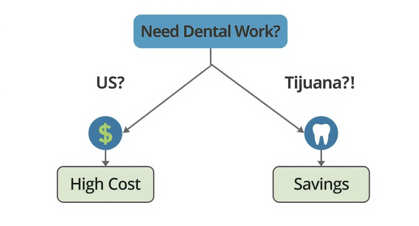 Infographic about Biodental and Holistic Dental Care in Tijuana and Mexico