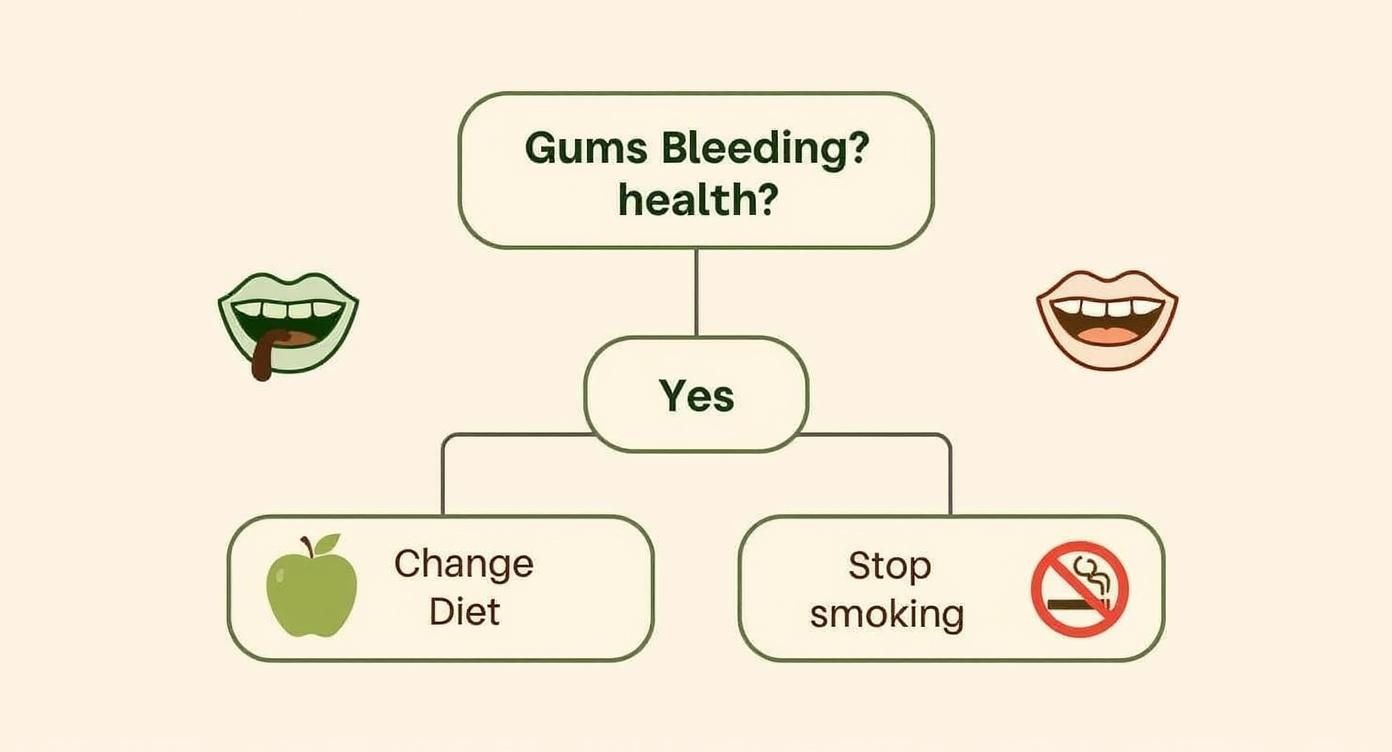 Flowchart showing solutions for bleeding gums including diet change and stop smoking recommendations
