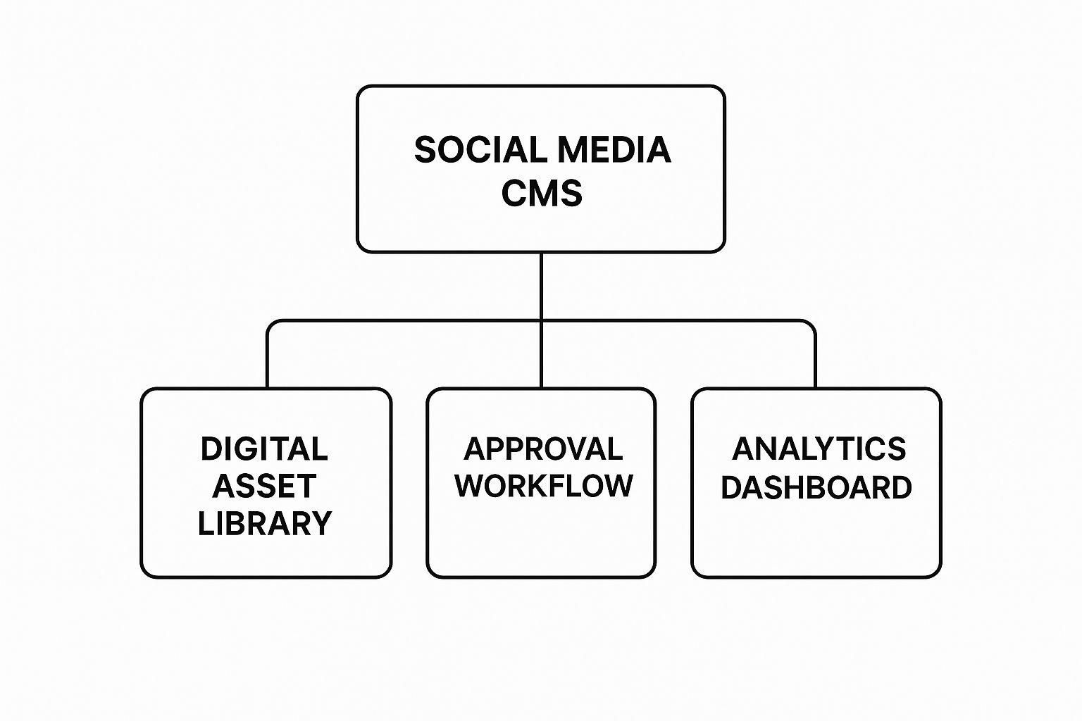 Infographic about content management system for social media