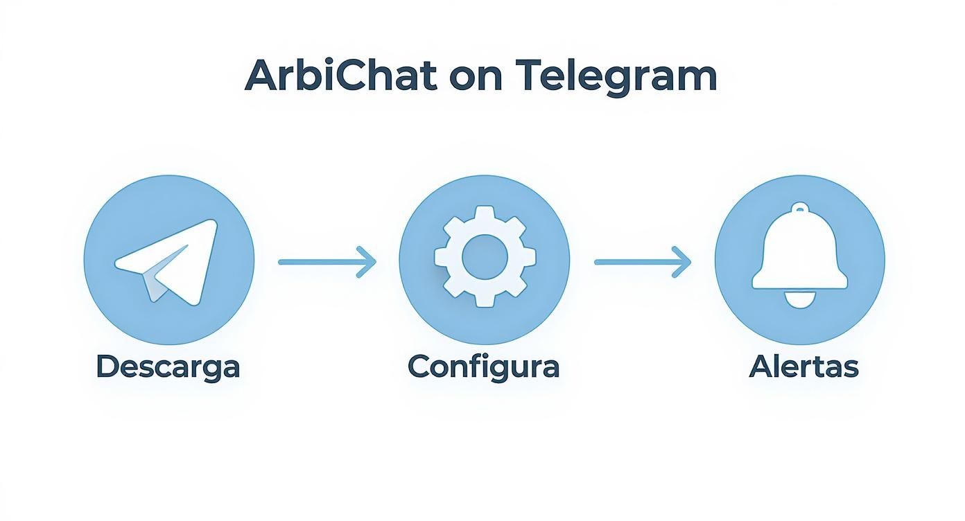 Infografía que muestra el proceso de uso de ArbiChat en Telegram, desde la descarga y configuración hasta la recepción de alertas.