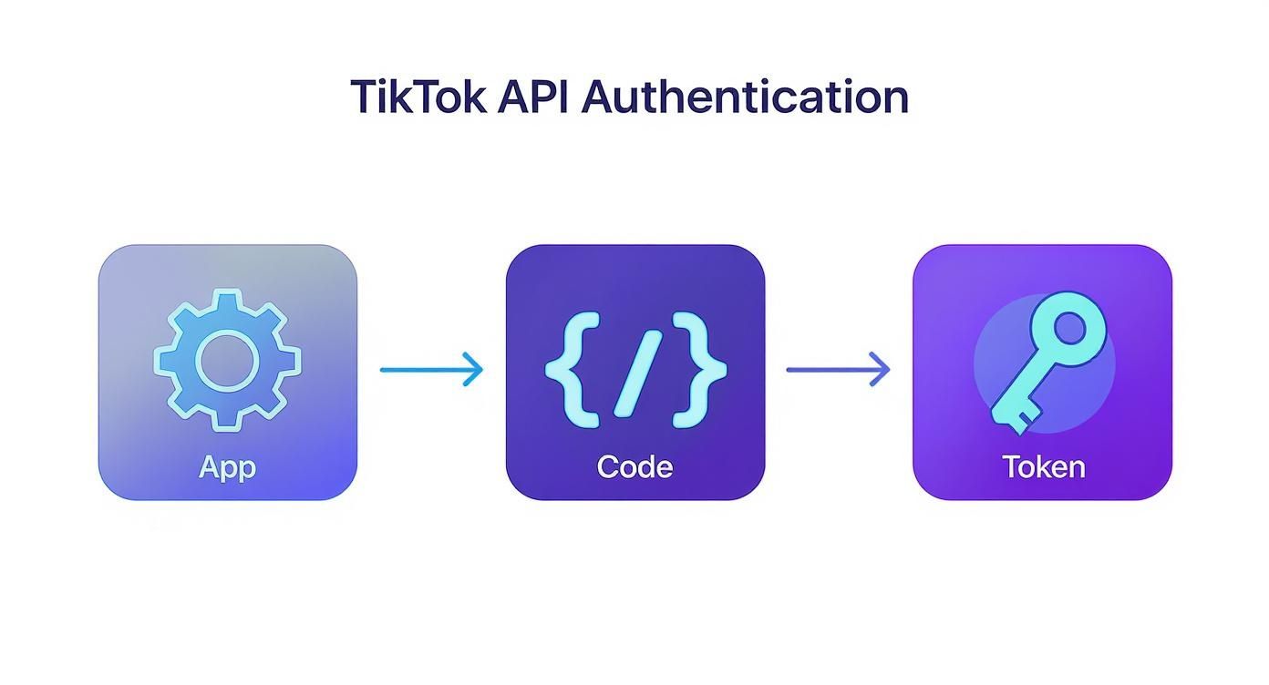 Infographic about tiktok post api