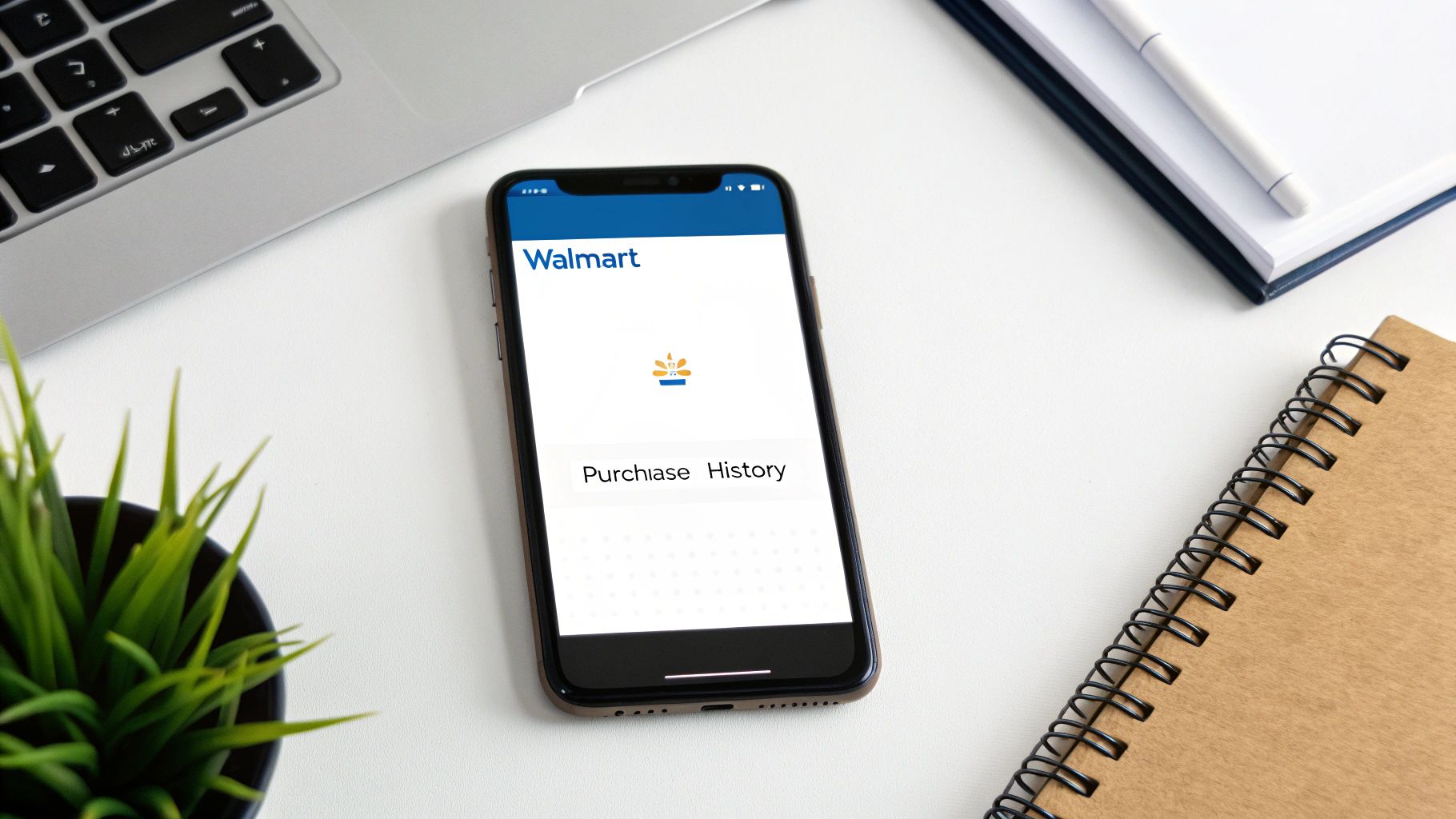 Screenshot from https://www.walmart.com/account/purchasehistory