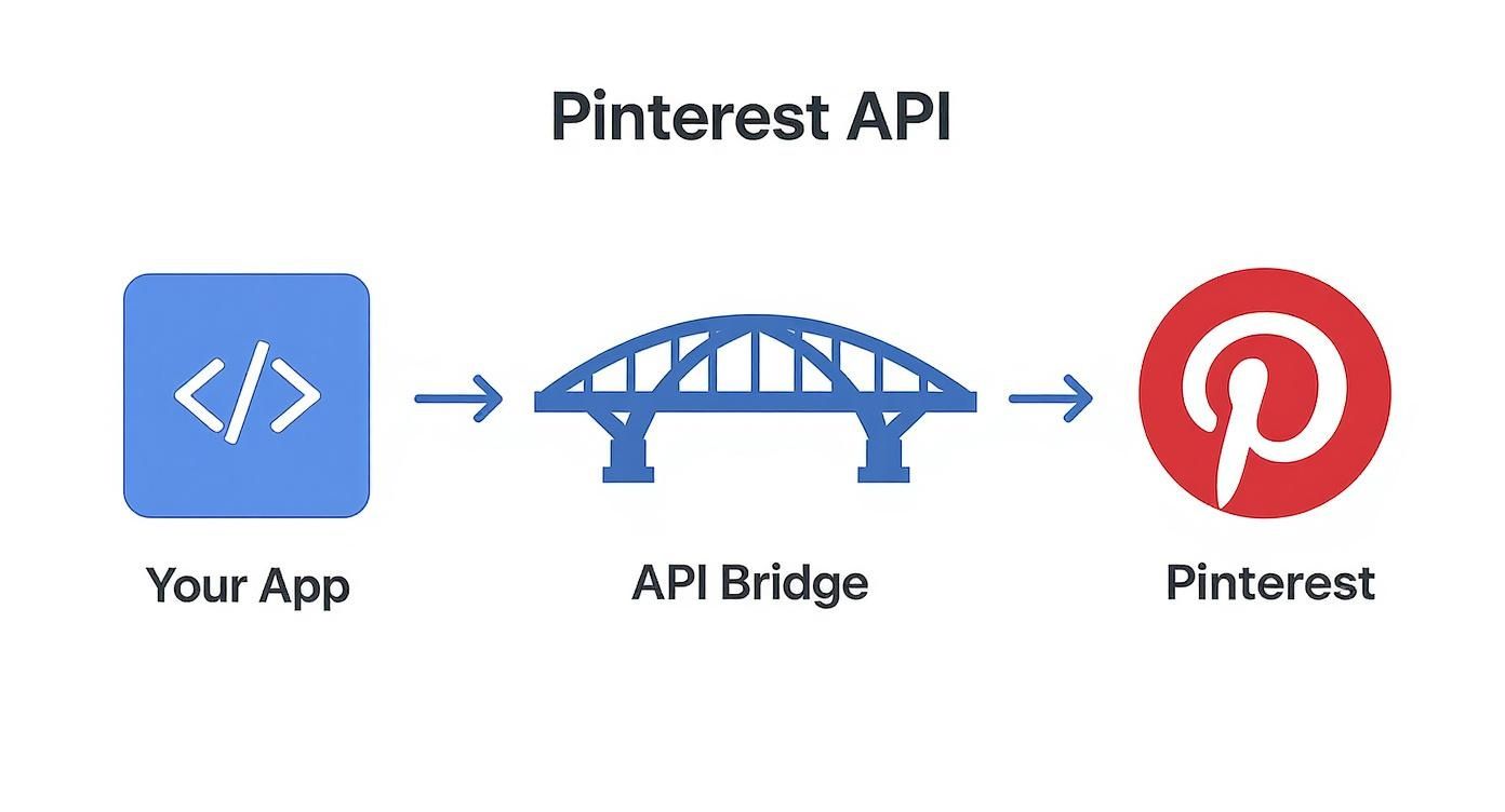 Infographic about pinterest api