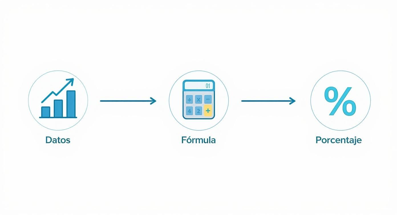 Infographic about calcular probabilidad online