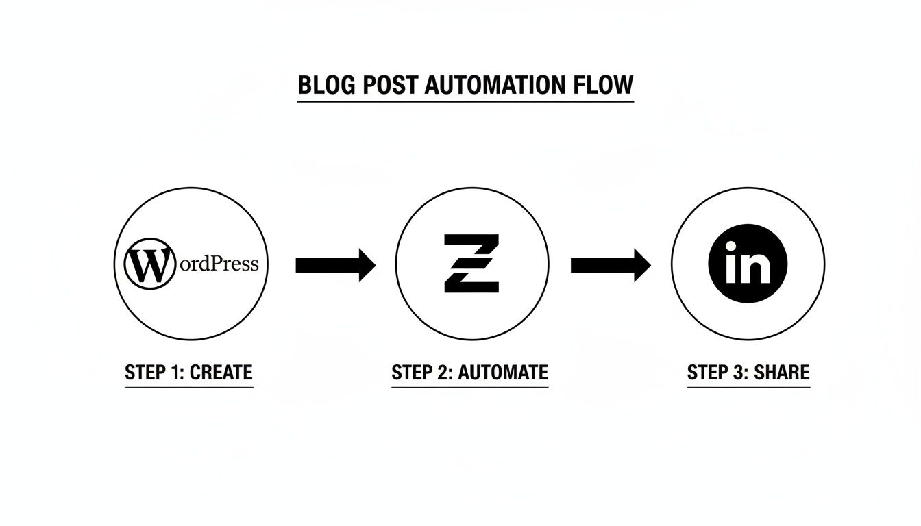 Workflow showing blog post creation on WordPress, automation with Zapier, and sharing on LinkedIn.