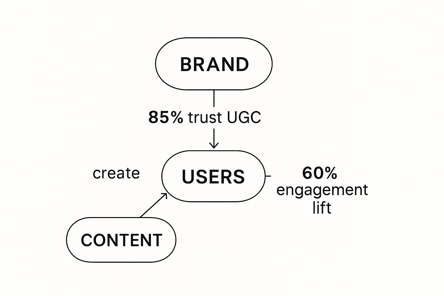 Infographic about user generated content ugc