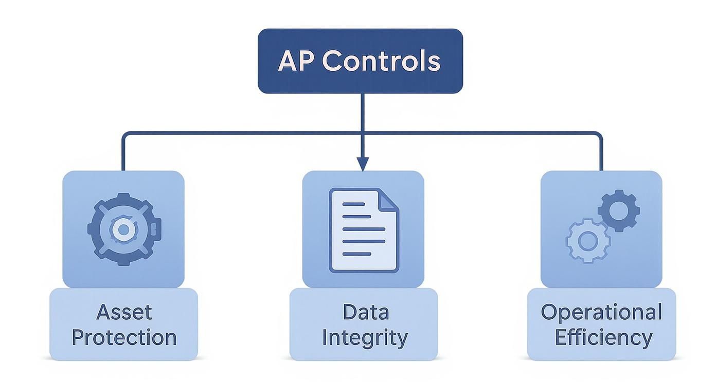 Infographic about accounts payable internal controls