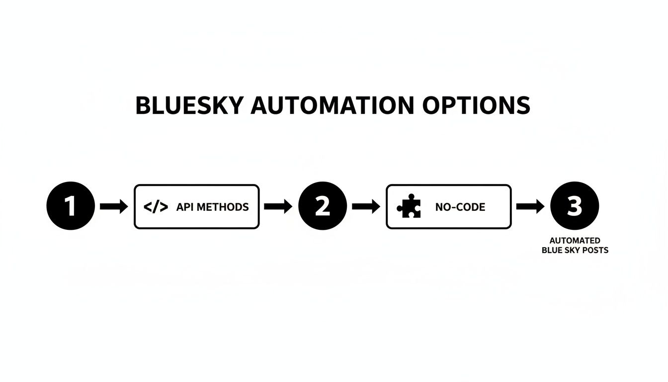A flowchart illustrates API methods and no-code options for automating Bluesky posts.