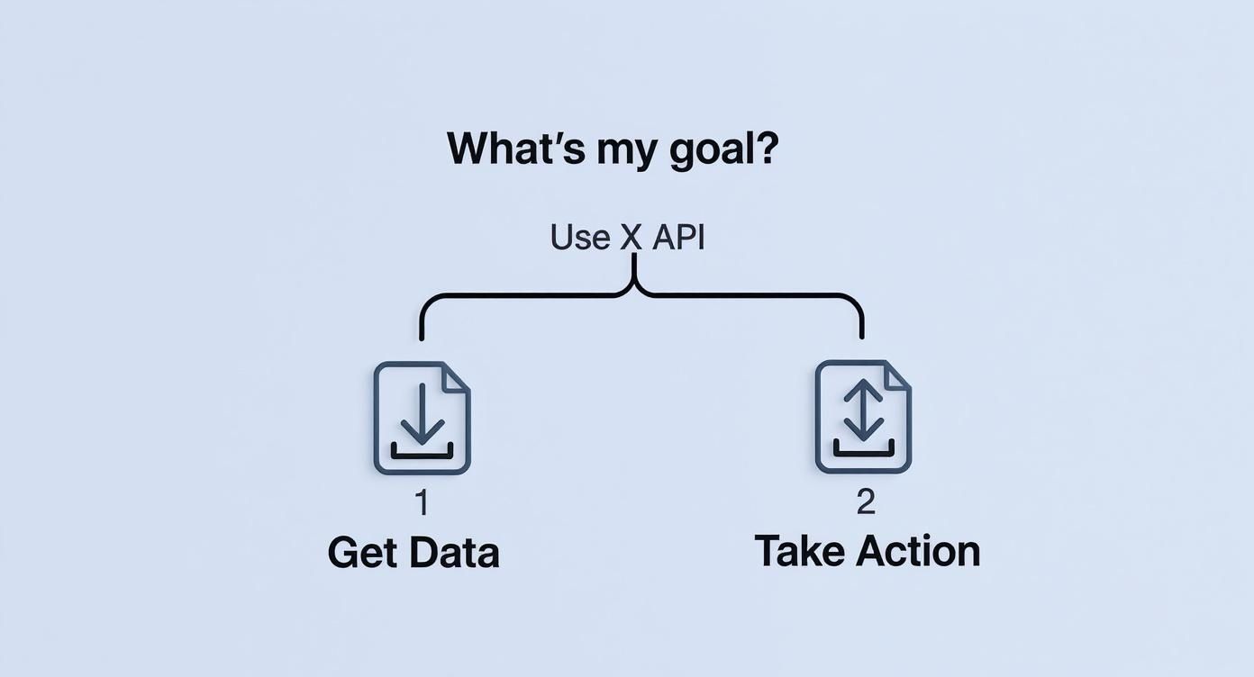 Infographic about x api
