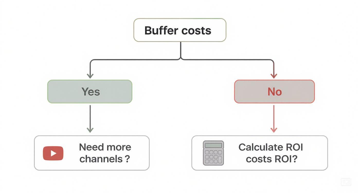 Infographic about buffer pricing