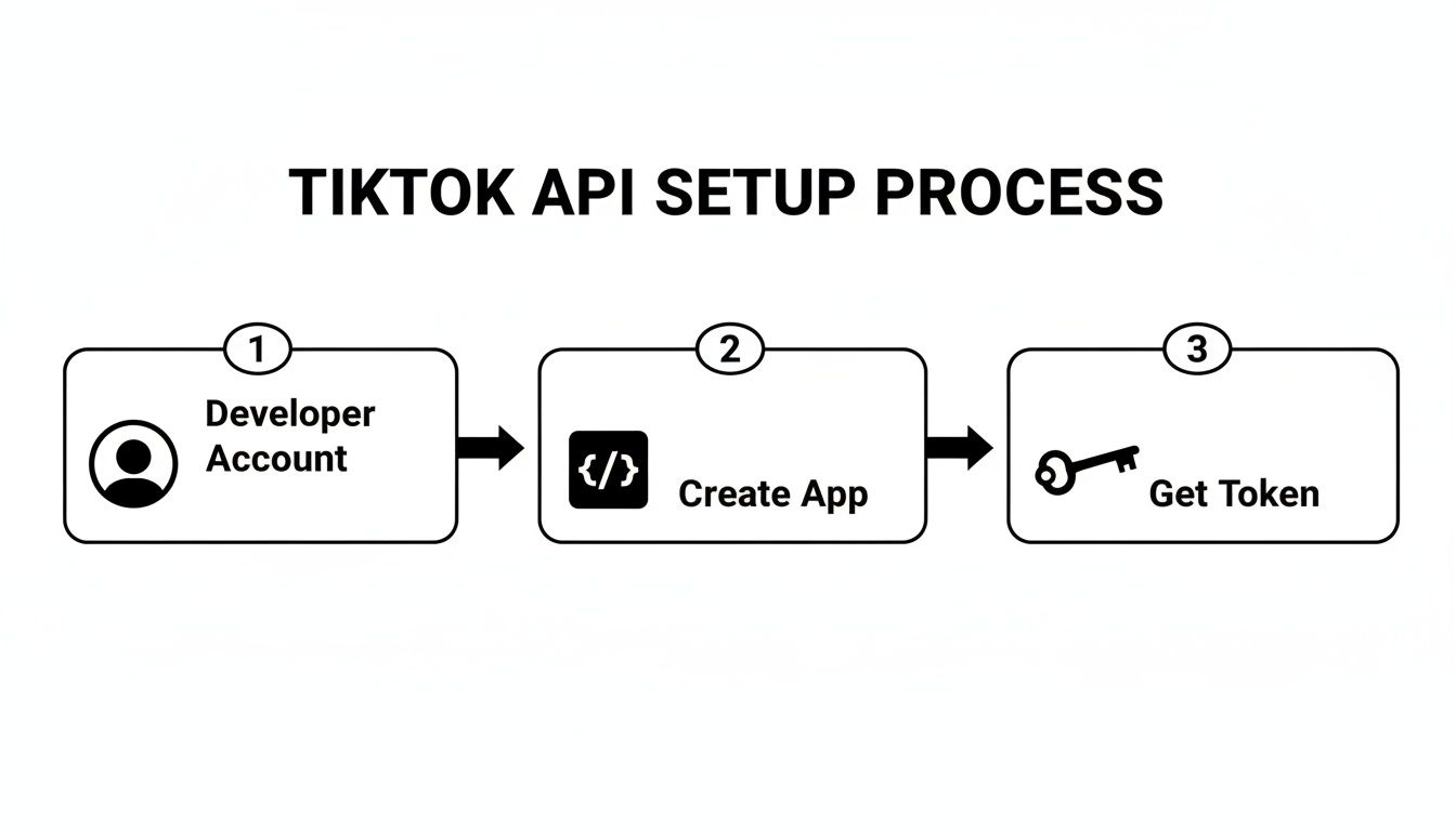 A step-by-step guide illustrating the TikTok API setup process with three key steps.