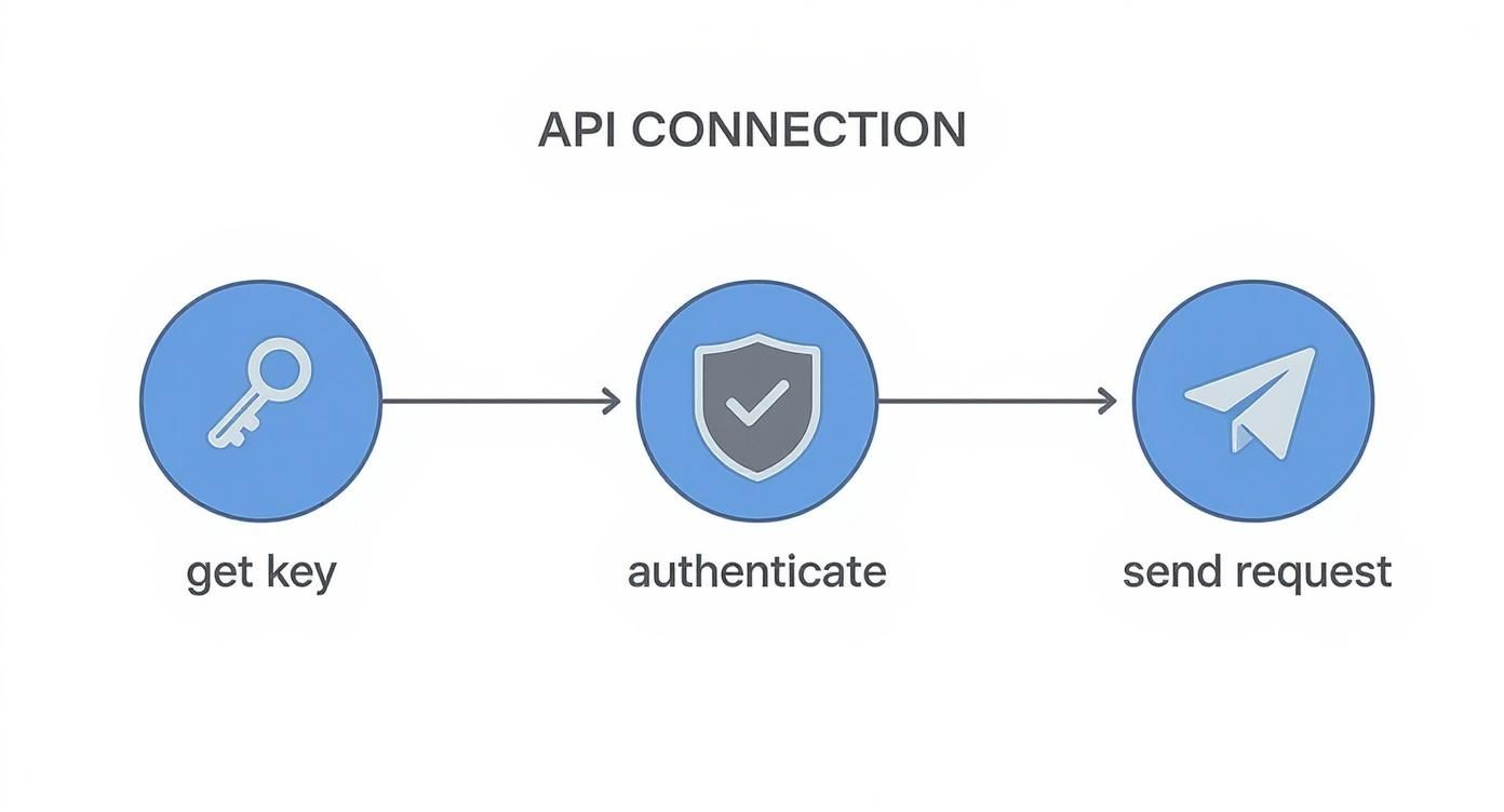 Infographic about fb auto share
