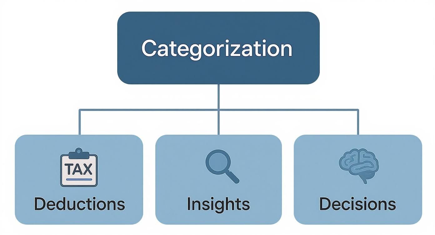 Infographic about how to categorize business expenses