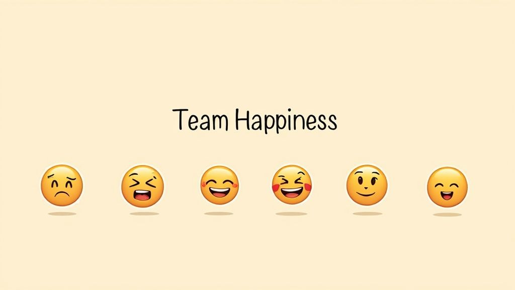 Team Happiness/Satisfaction