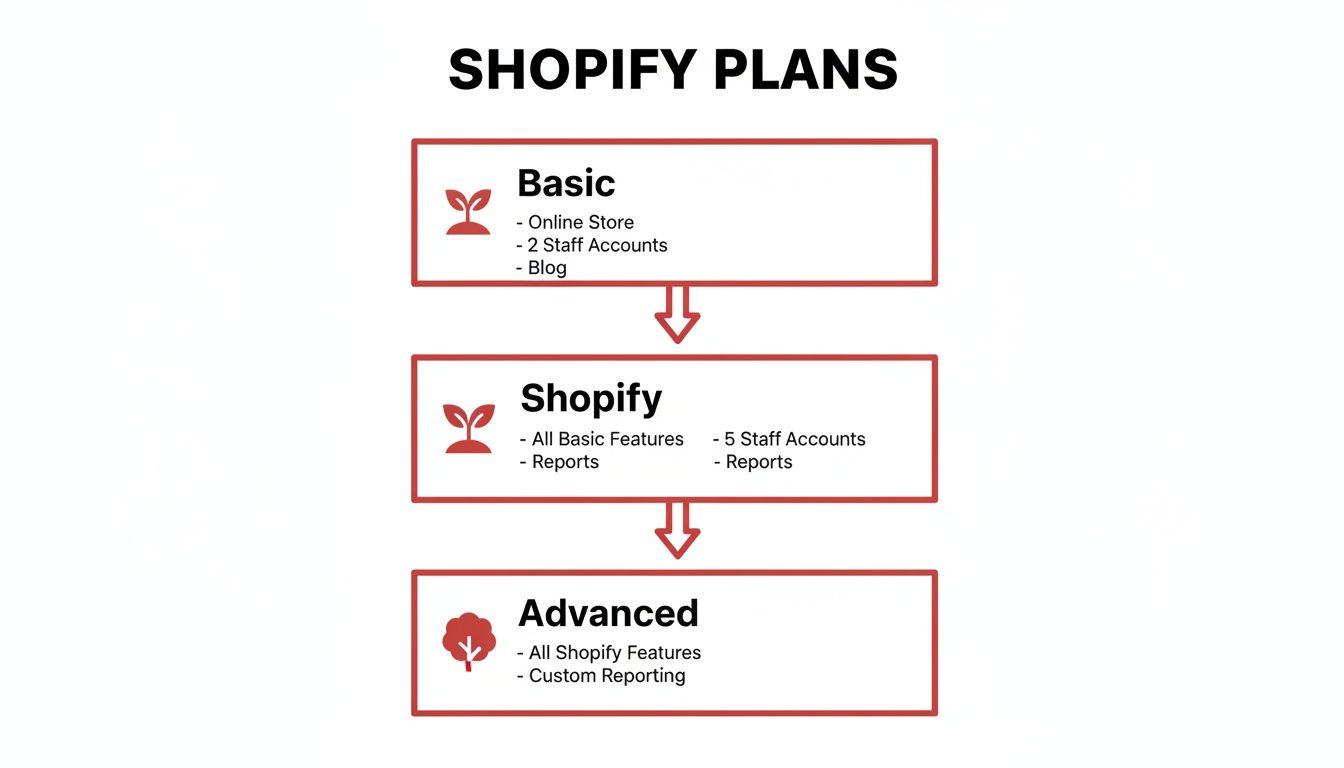 Shopify plans overview: Basic, Shopify, and Advanced tiers with their respective features and included staff accounts.