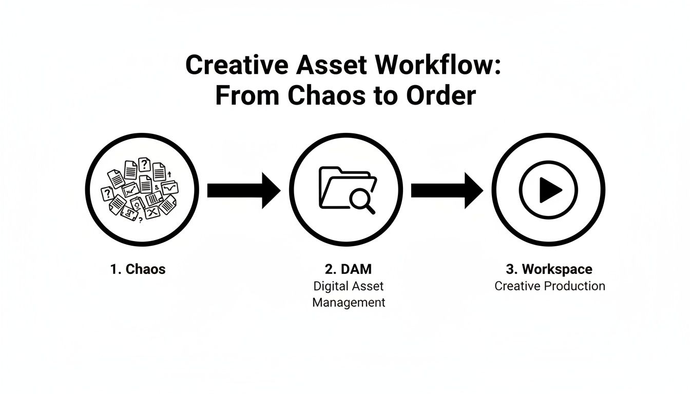 A workflow diagram showing creative asset management from chaos to order using DAM.