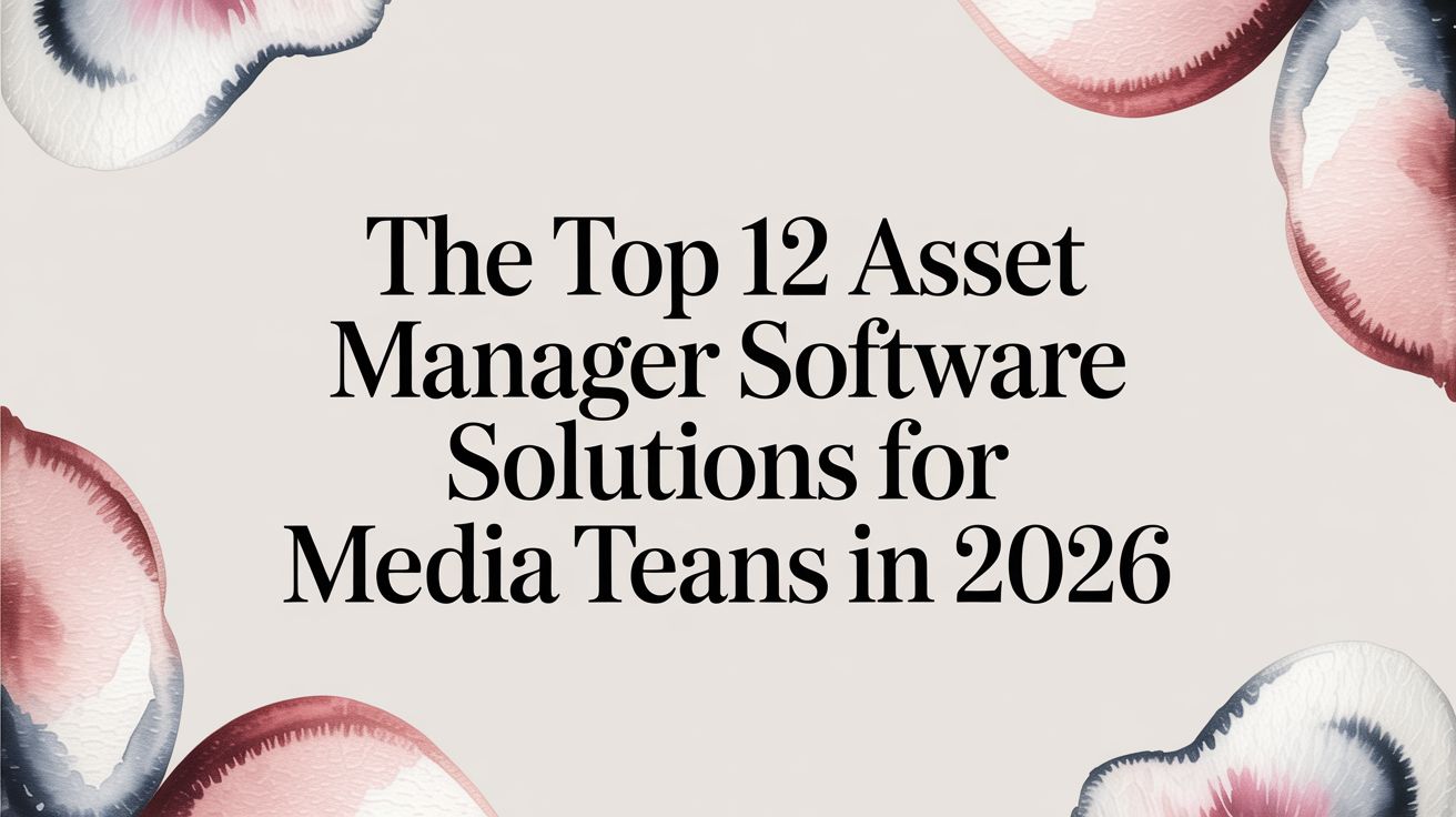 The Top 12 Asset Manager Software Solutions for Media Teams in 2026