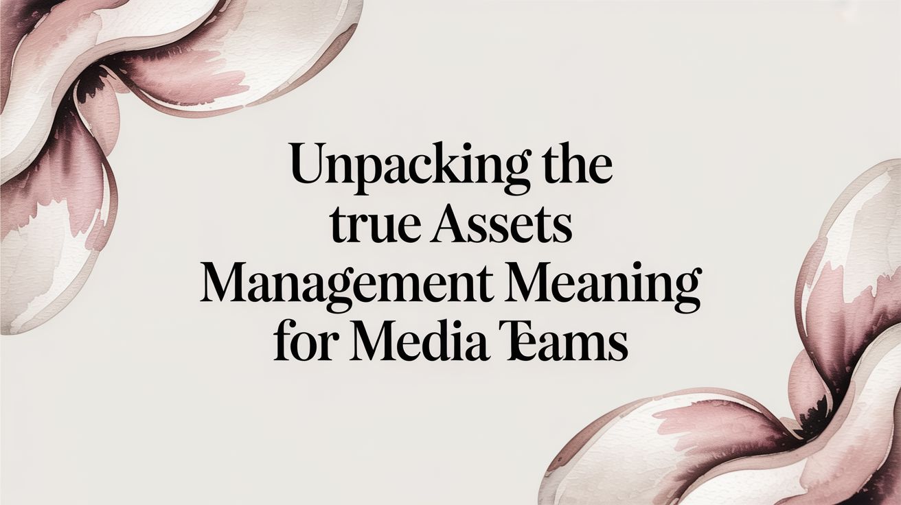 Unpacking the True Assets Management Meaning for Media Teams