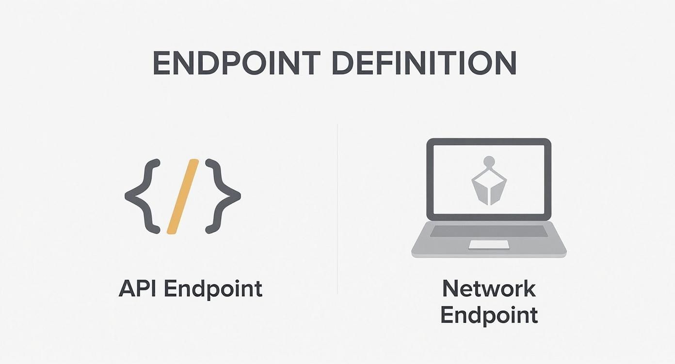 Infographic about what is an endpoint