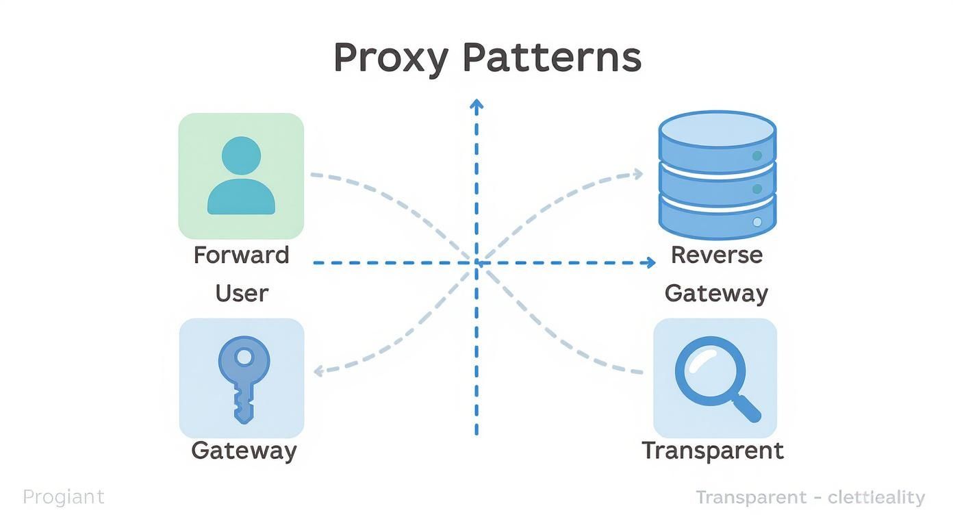 Infographic about proxy server api