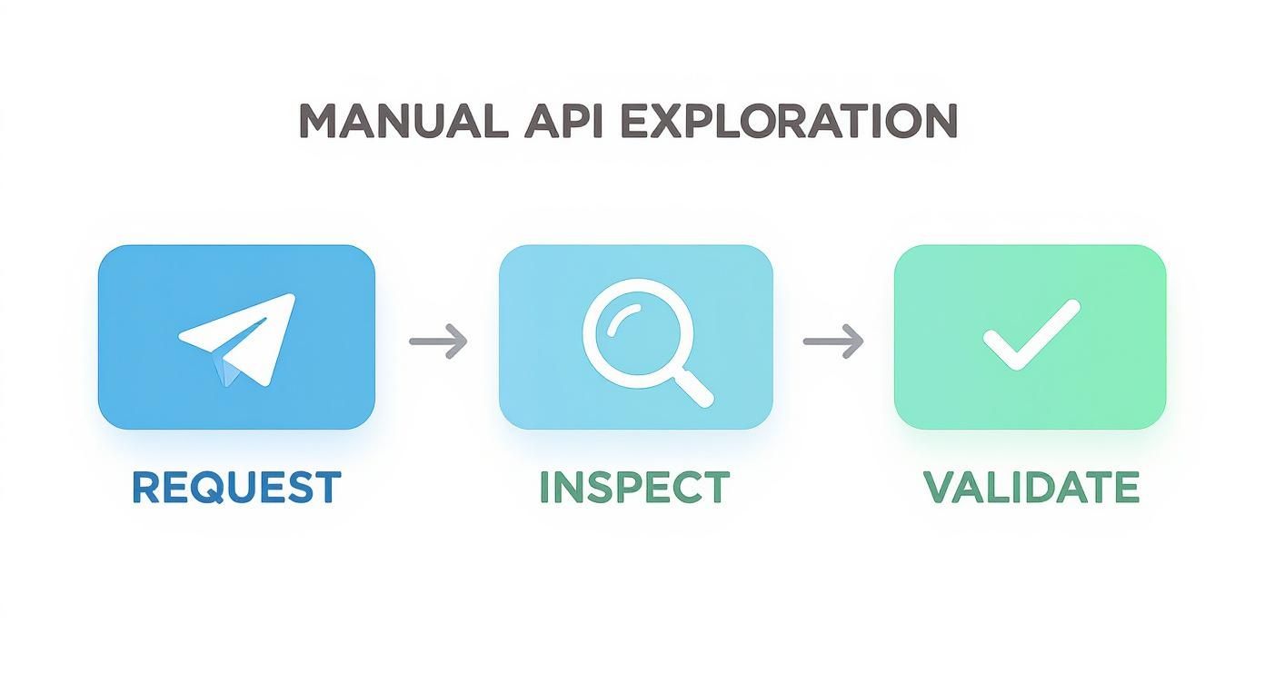 A visual guide detailing the process of manual API exploration through request, inspect, and validate steps.
