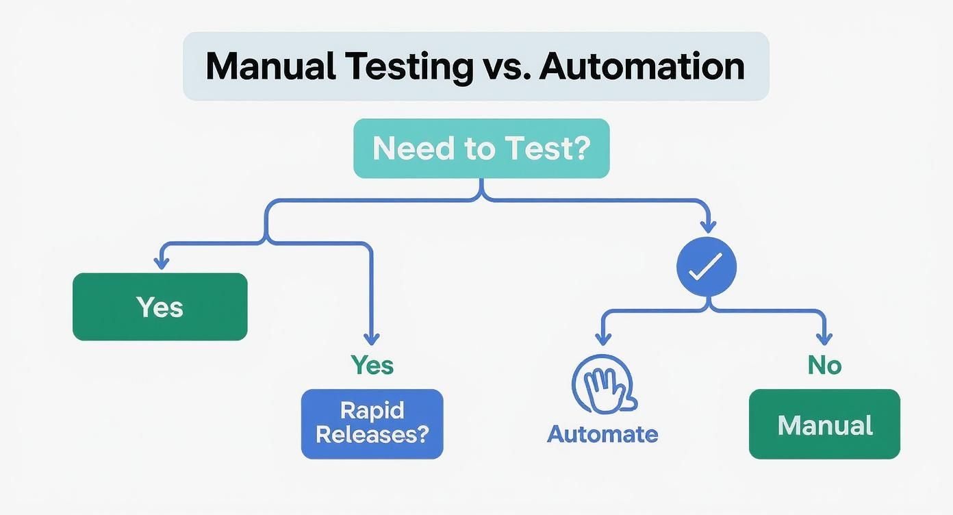 Infographic about ui testing automation