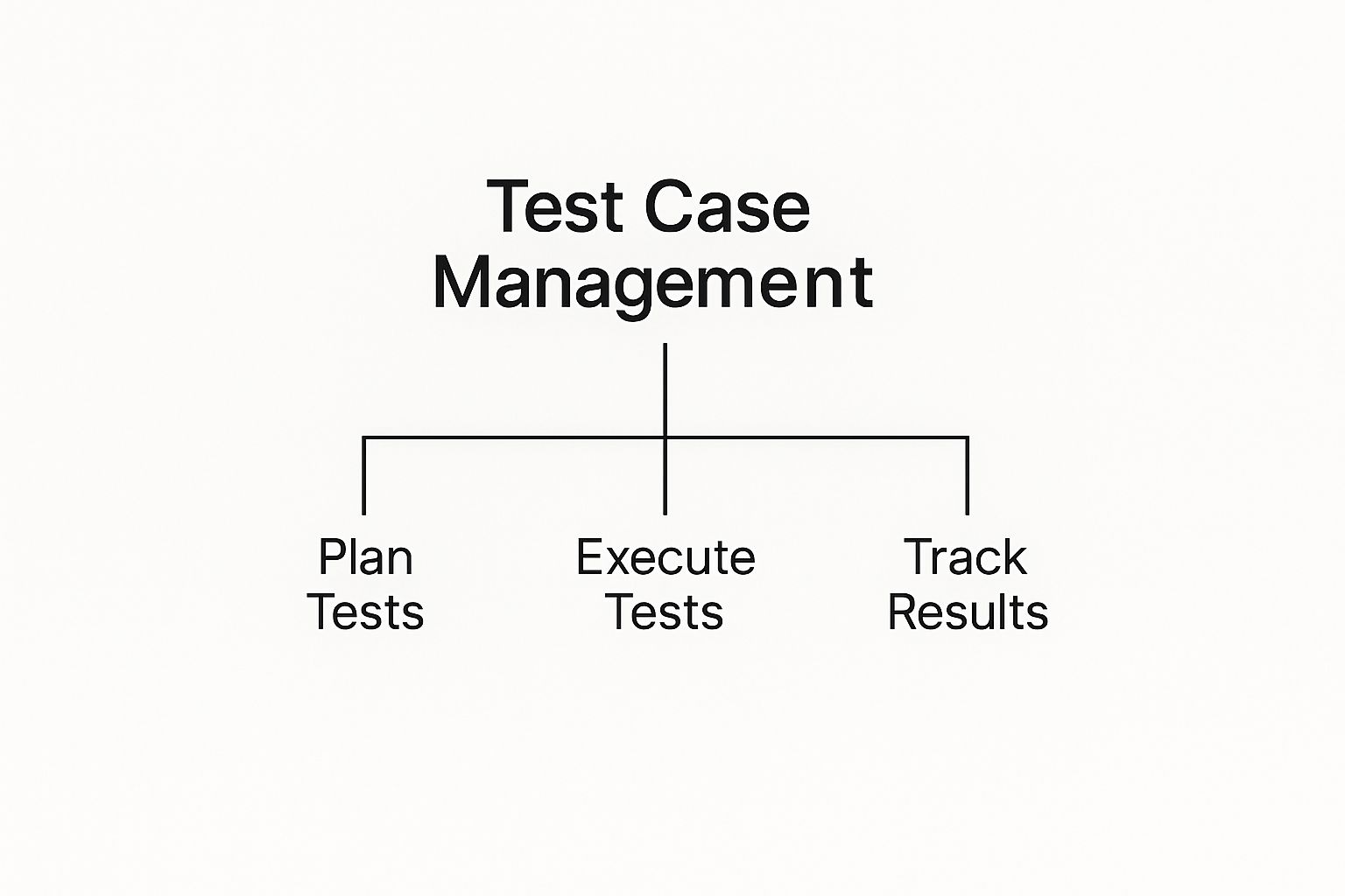 Infographic about test case management