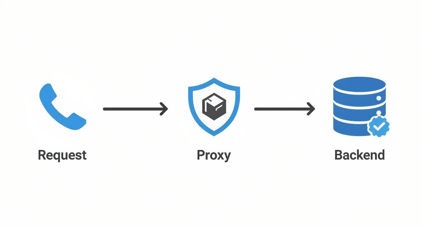 Infographic showing an API request flowing from a user's phone, through a proxy server represented by a shield, to a backend server.