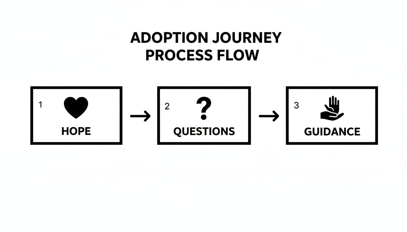 A process flow diagram illustrating the adoption journey steps: Hope, Questions, and Guidance.