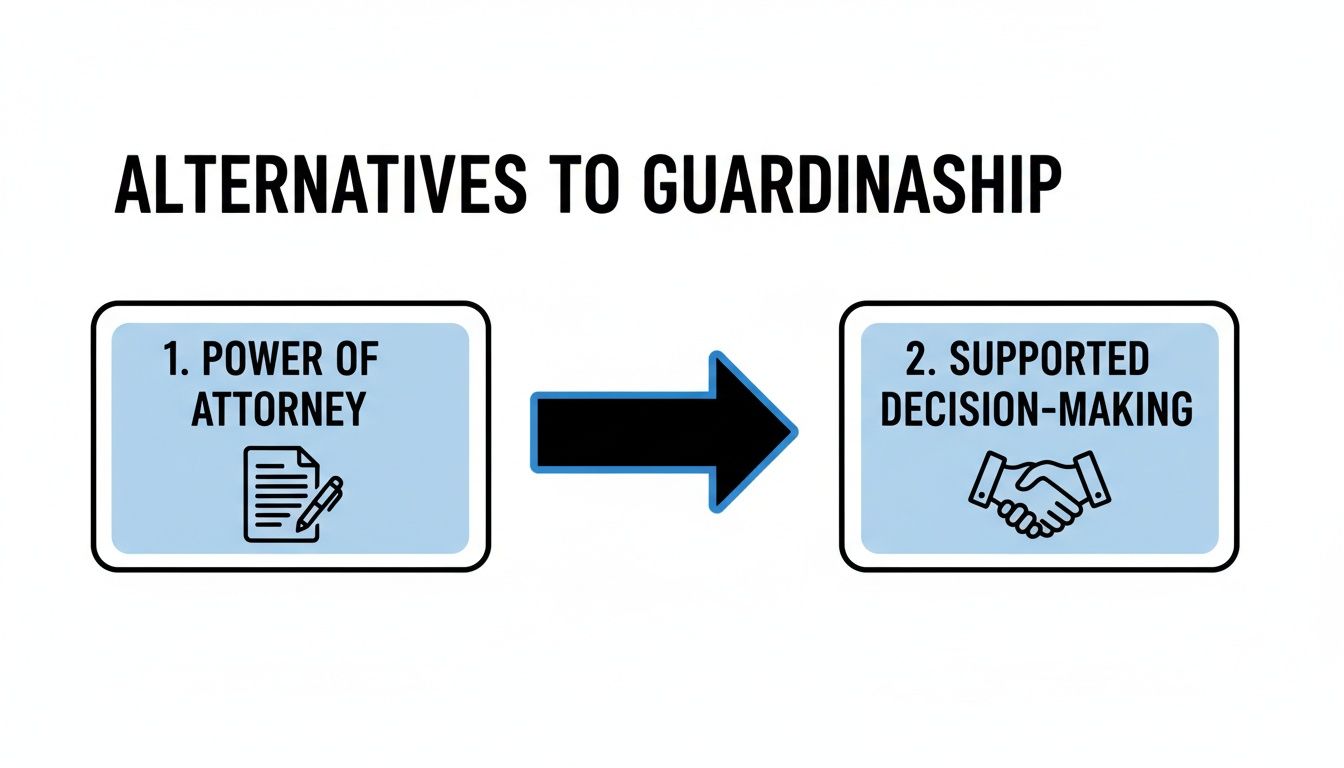 Alternatives to guardianship infographic illustrating Power of Attorney and Supported Decision-Making options for elder care decisions.