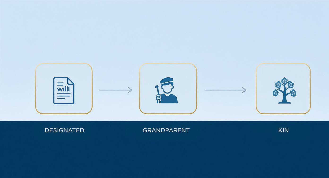 Infographic about guardianship of a minor in texas